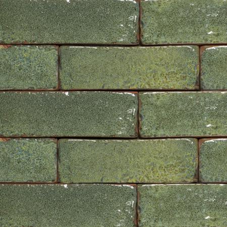 آجر نما لعابی چیست؟