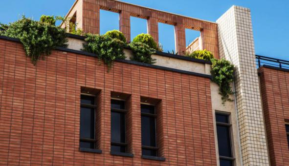 قیمت نهایی و مناسب آجر ظریف نما